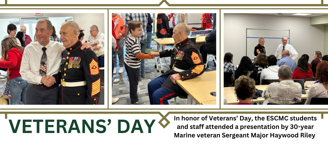 Veterans Day Presentation