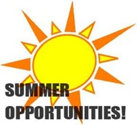 Summer Opportunities